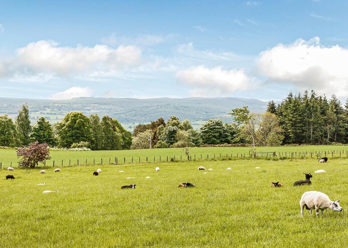 Kessock Highland Lodges North Kessock Экстерьер фото